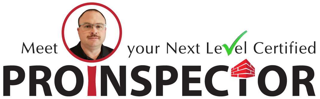 meet-your-inspector-robert ProInspector - Robert Brian